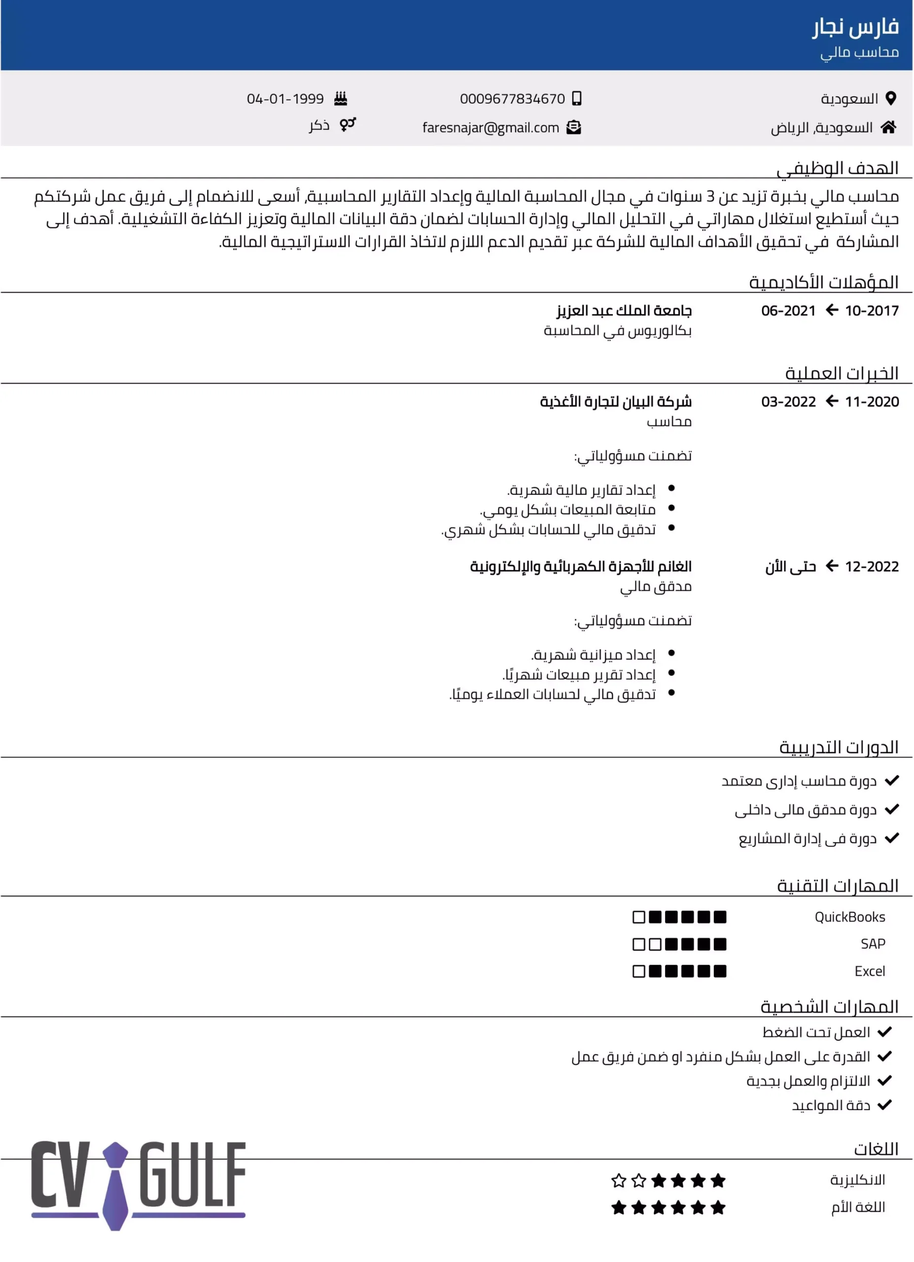 نموذج سيرة ذاتية انفوجرافيك